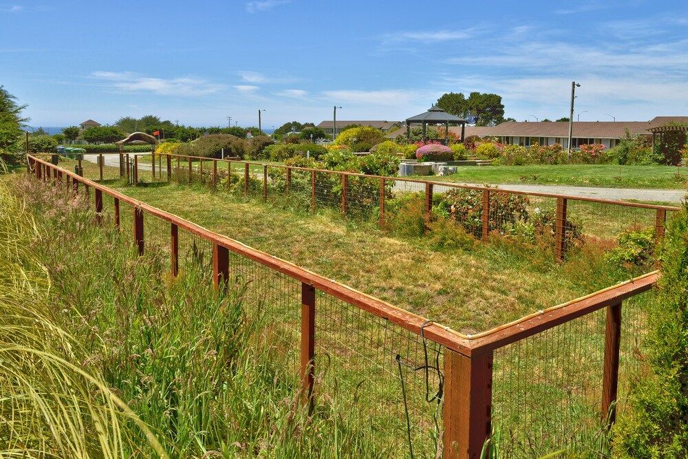 Surf Motel and Gardens - photo 29