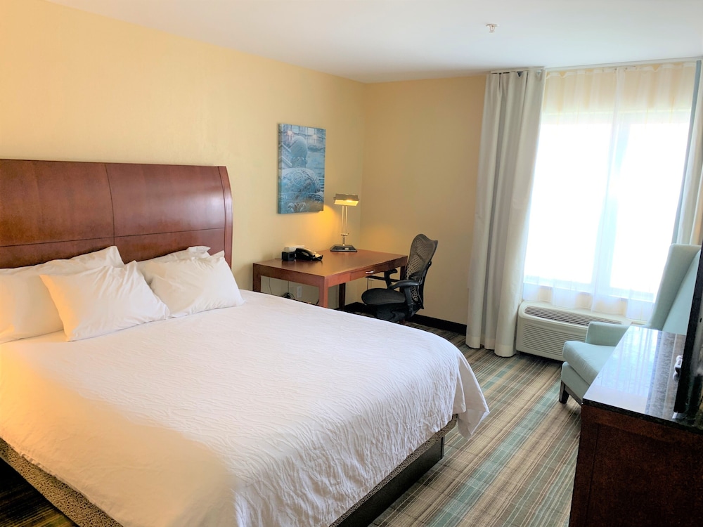 Hilton Garden Inn Albany Medical Center - photo 8