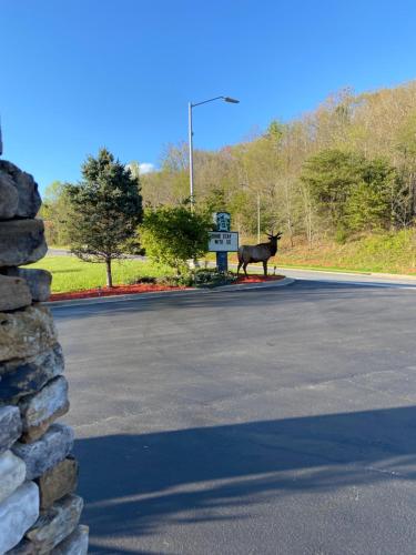Smoky Mountain Inn & Suites - photo 6