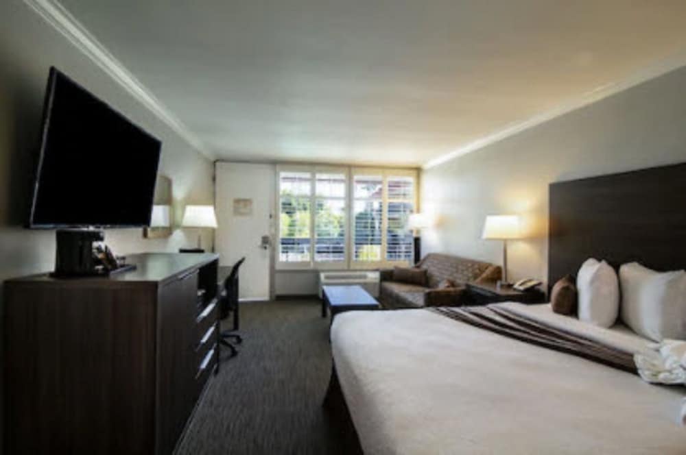Palm Garden Hotel - photo 12