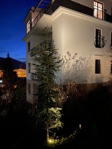 Vila Maister — Celje — photo 4