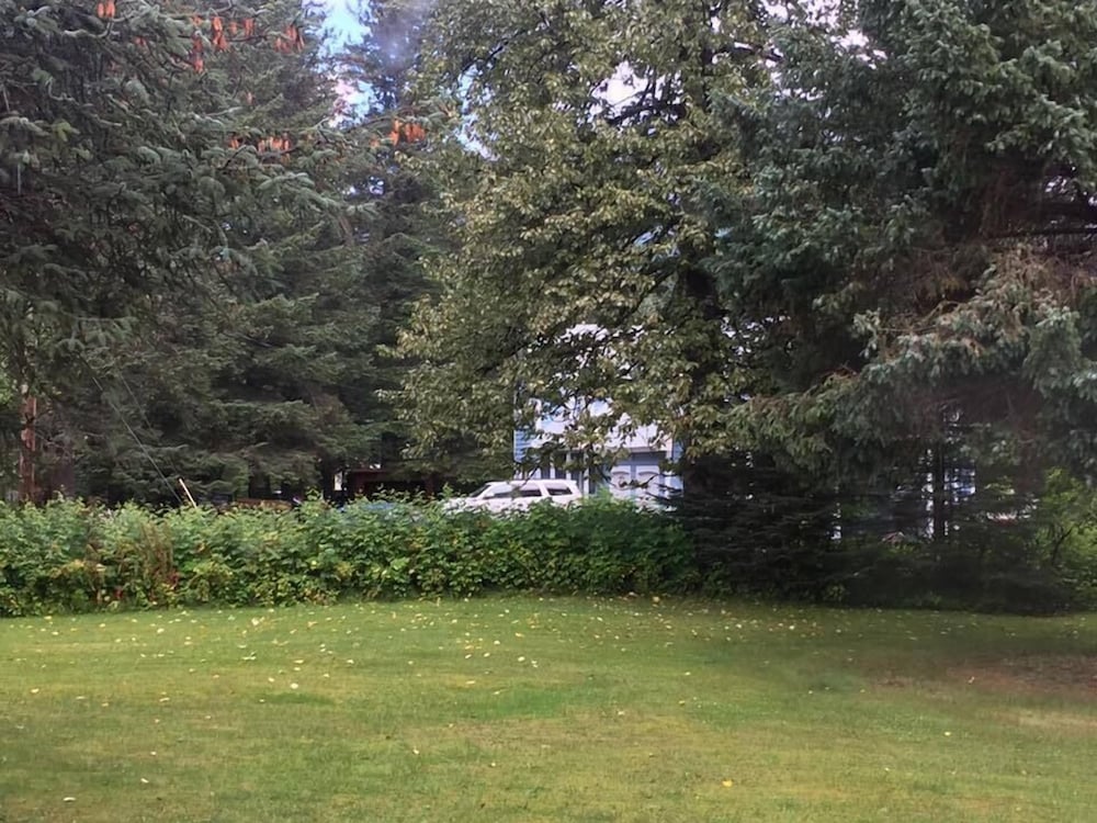 Alaska Dreamin' Lodging - photo 19