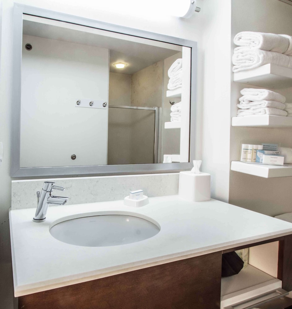 Hampton Inn South Haven - photo 25