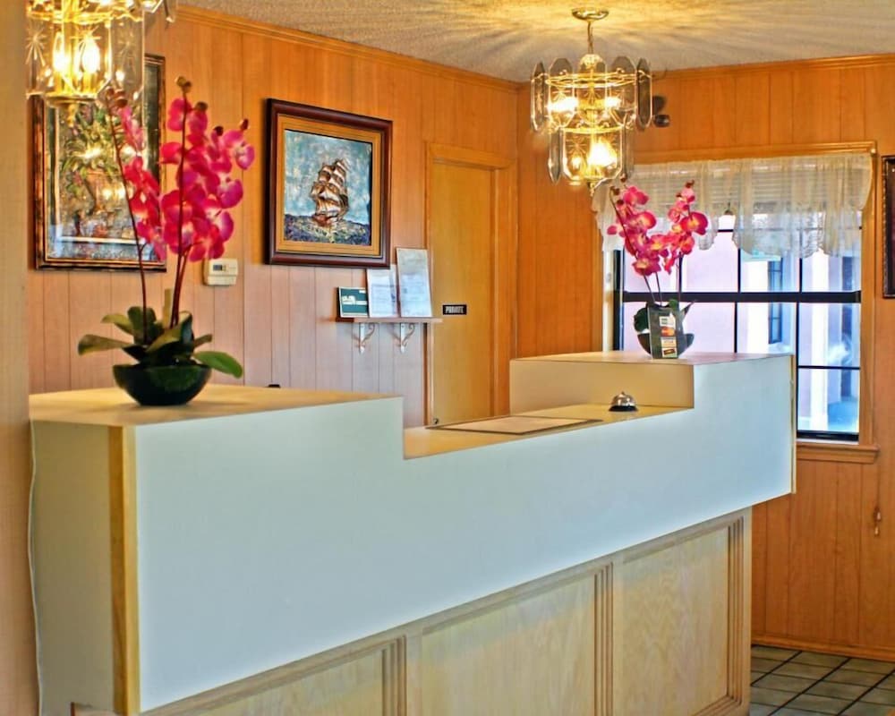 American Dream Inn - photo 3