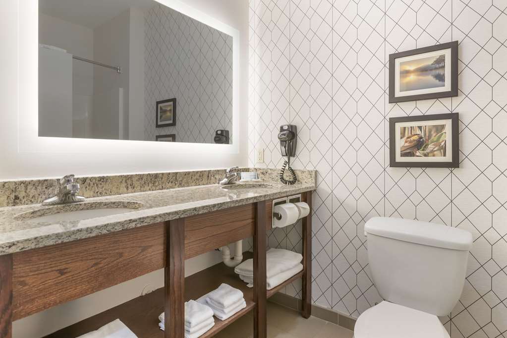 Comfort Inn & Suites Davenport Quad Cities - photo 10