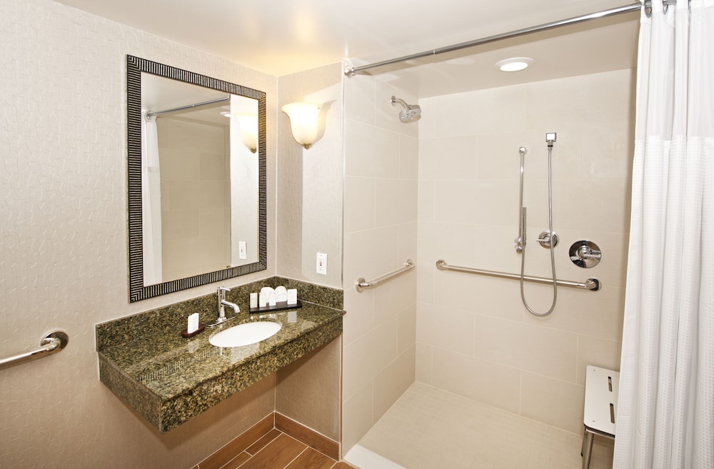 Embassy Suites by Hilton Detroit Livonia Novi - photo 18