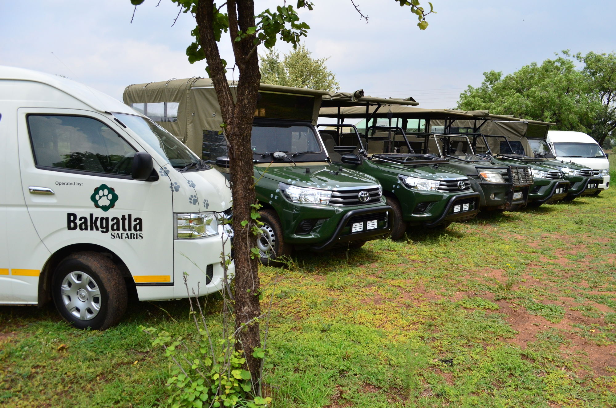 Pilanesberg Tented Safari Camp