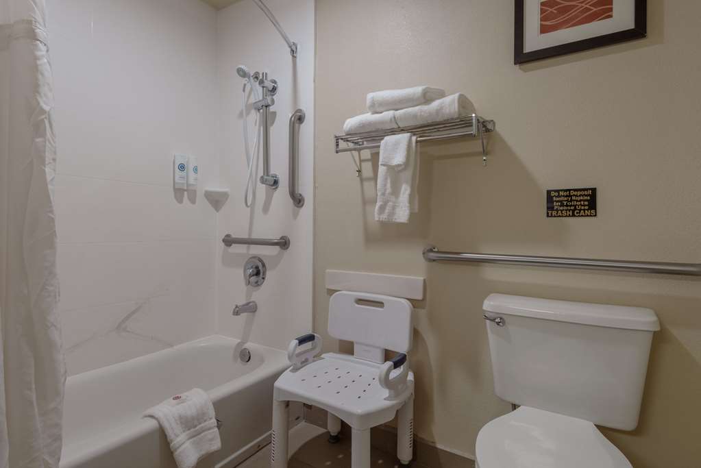 Comfort Inn & Suites Alamosa - photo 45