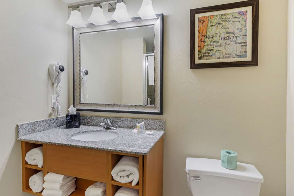 Comfort Suites At Virginia Center Commons - photo 6