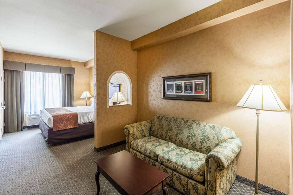 Comfort Suites Alamo Riverwalk - photo 12