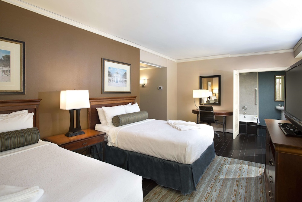 The Whitehall Houston - photo 7