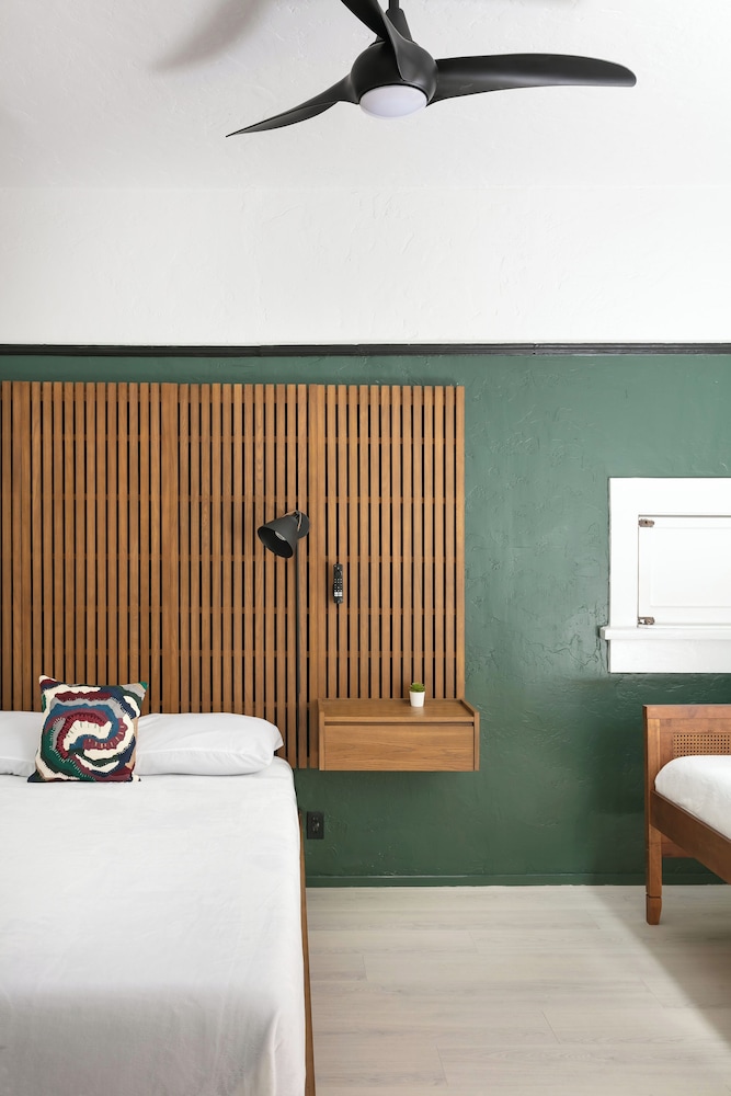 La Ventana - photo 11