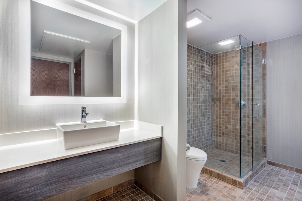 Holiday Inn Lafayette City Centre by IHG - photo 27