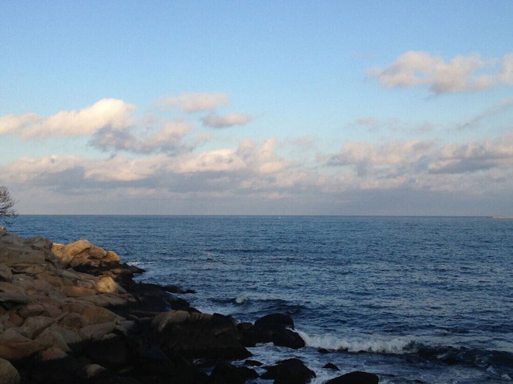 The Quarterdeck Inn By The Sea - photo 7