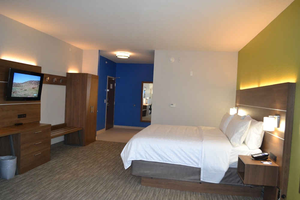 Holiday Inn Express Tallahassee University Central by IHG - photo 13