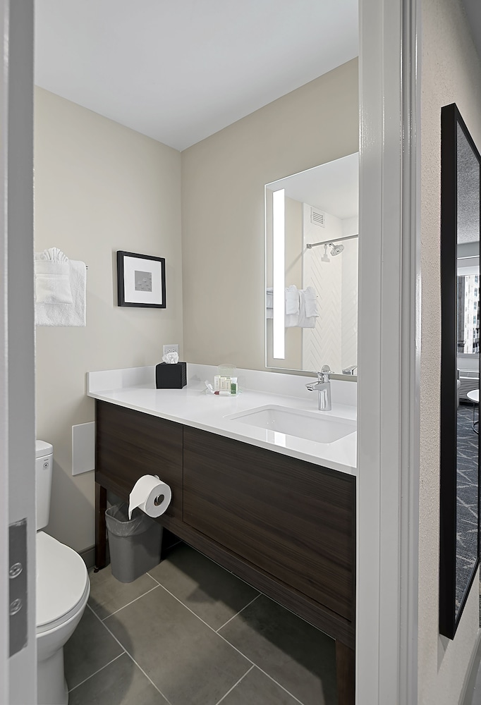 Holiday Inn & Suites Chicago Downtown by IHG - photo 13
