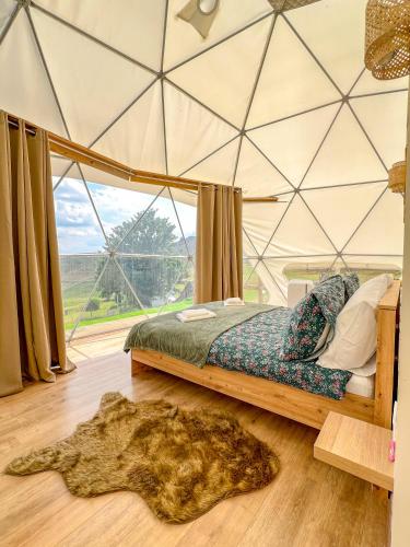 Durmitor Glamp in Zabljak, Montenegro