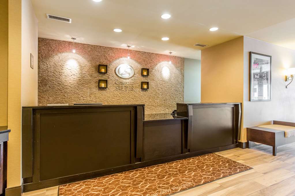 Comfort Suites Fairview Heights St. Louis - photo 7