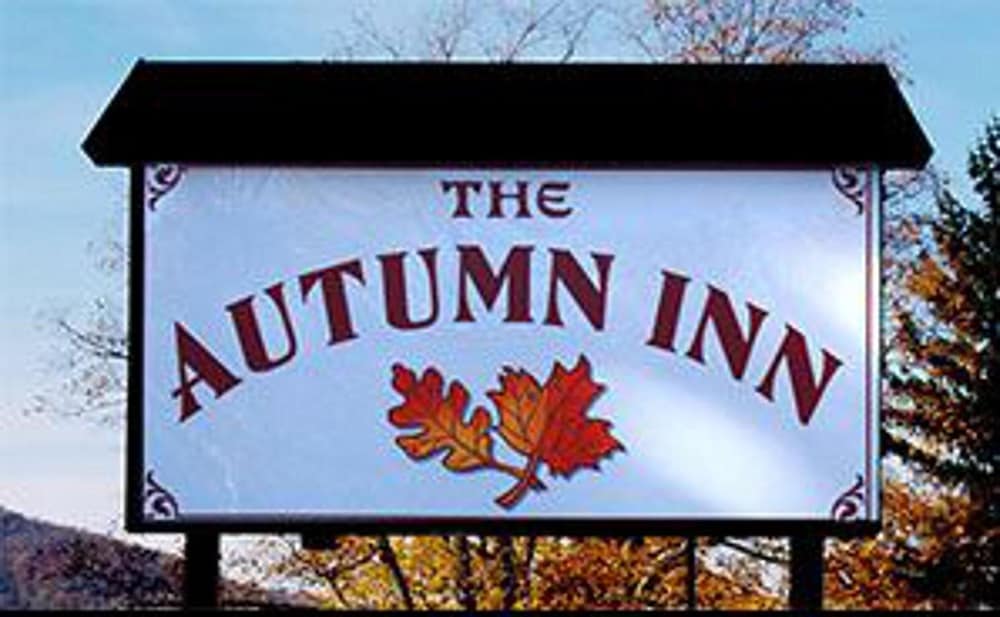 The Autumn Inn - photo 28