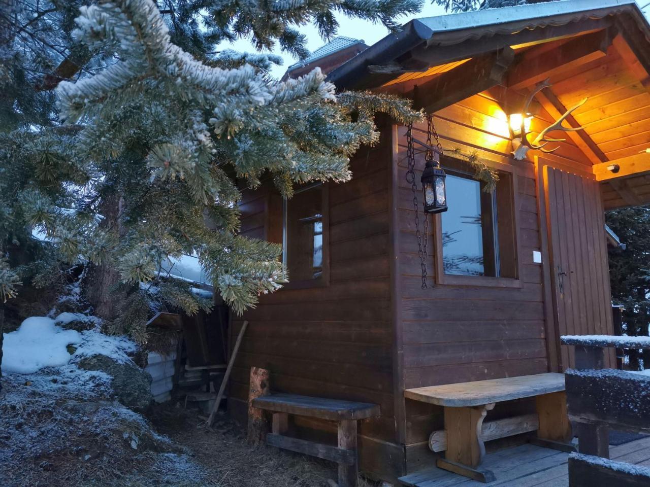 Almnest Lachtal in Oberwoelz Stadt, Austria