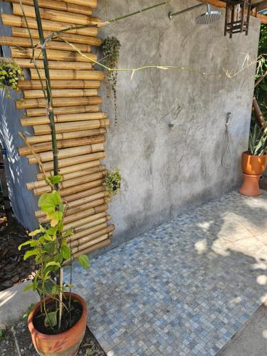 The Mellow Mango — Ko Lanta — photo 4