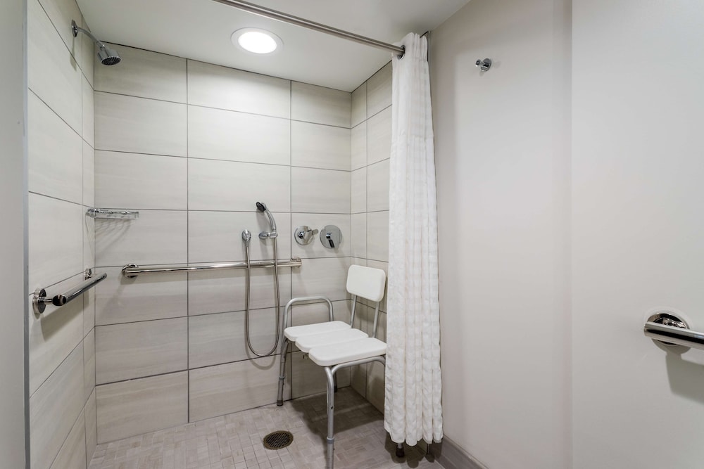 Embassy Suites by Hilton Tampa USF Near Busch Gardens - photo 26