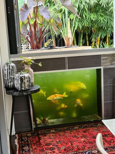 Vista Unit Bamboo House Close to the City & Airport & Train station and Brighton Le Sands Beach — 4-Star Luxury Hotel in Sydney, Australia