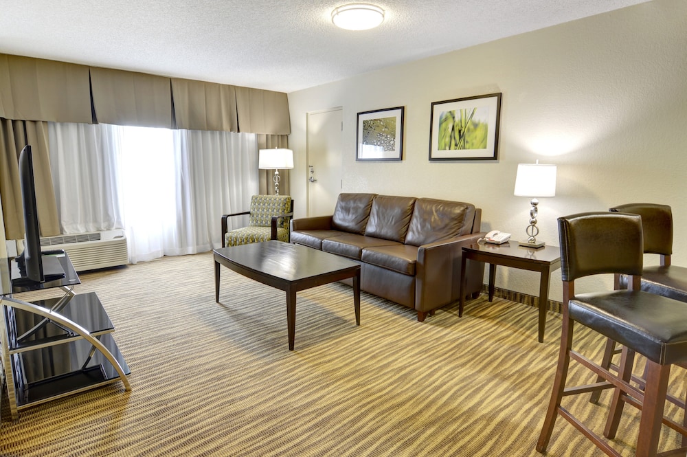 Holiday Inn St Petersburg N Clearwater by IHG - photo 8