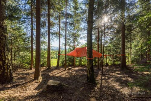Baumzelt Am Waldesrand — Regen
