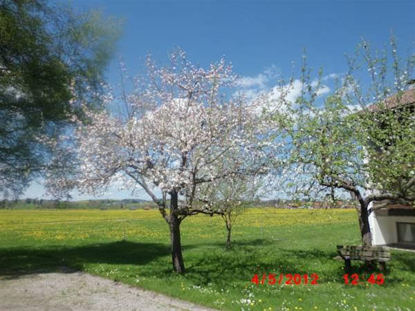 Alpengasthof Geiselstein in Halblech, Germany
