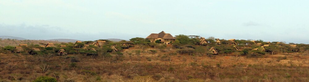 Intibane in Hluhluwe, South Africa