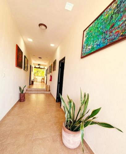 El Roble Hotel — Bacalar — photo 5