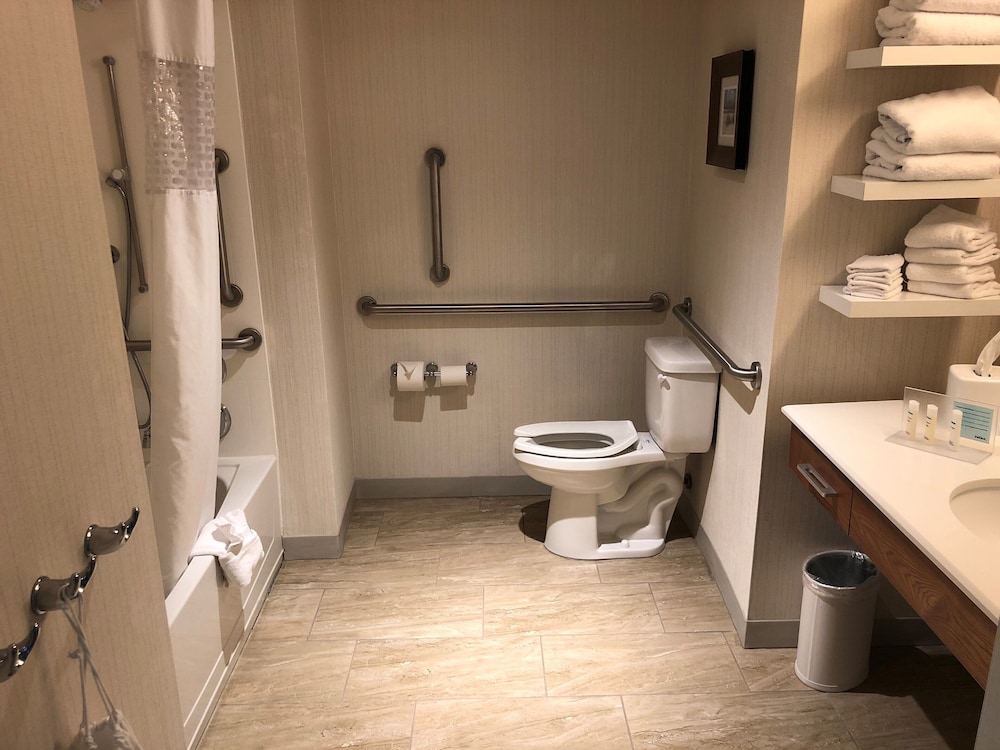 Hampton Inn & Suites Tampa Busch Gardens Area - photo 26