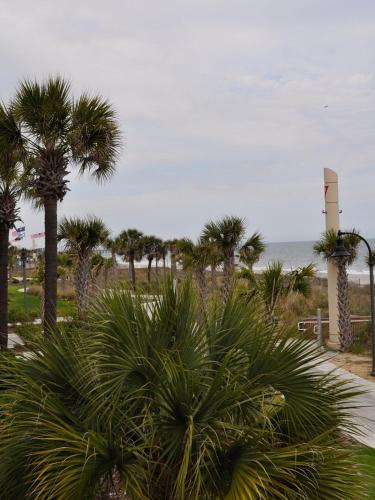 The Diplomat Family Motel - photo 25