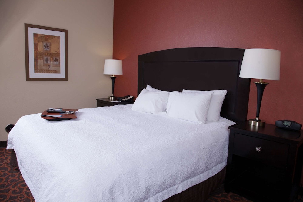 Hampton Inn & Suites Dickinson - photo 27
