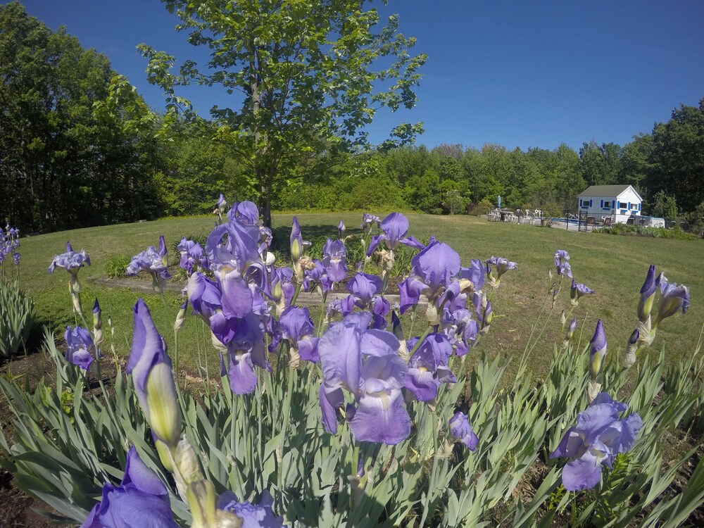 Ocean Woods Resort - photo 85