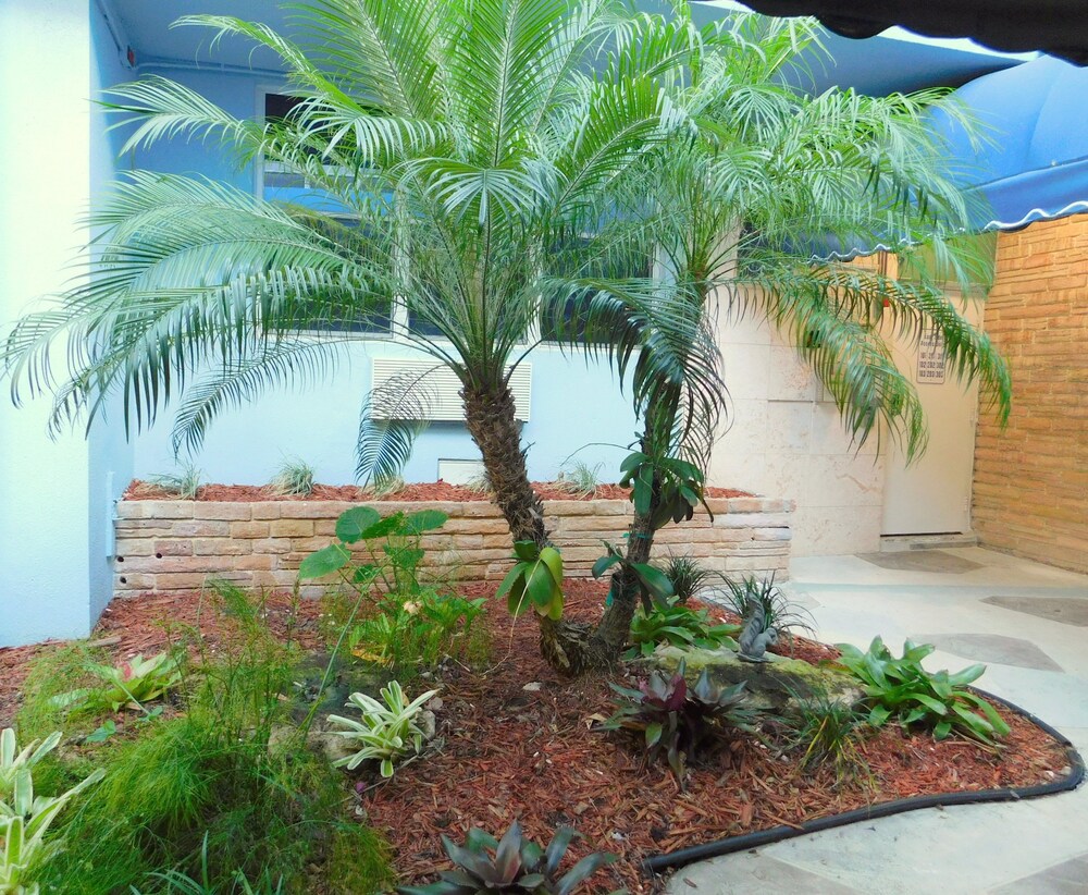 Windwood Beachside 303 on Hollywood Beach 3 2 for 8 Pool - photo 24