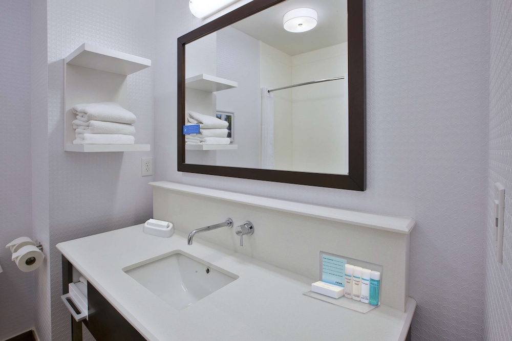 Hampton Inn Commerce Novi - photo 25