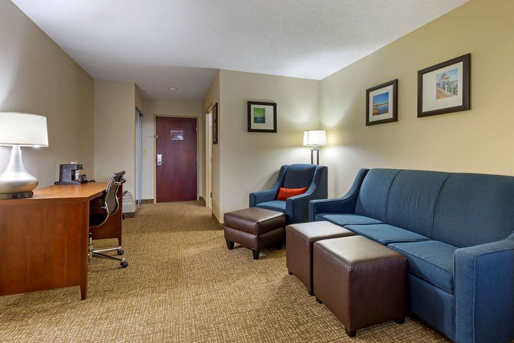 Comfort Inn & Suites Cambridge - photo 12