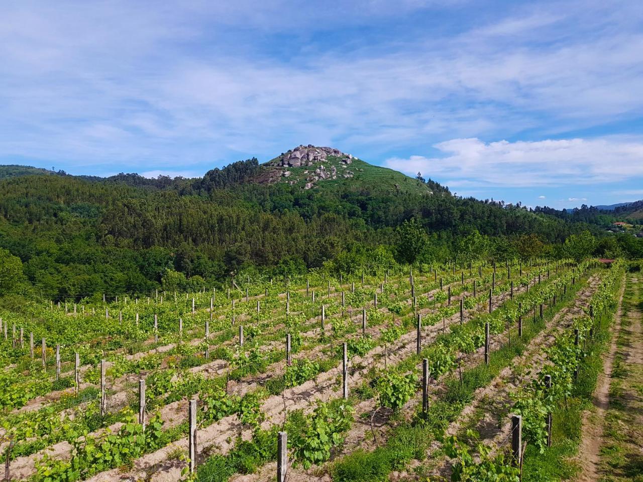 Quinta Da Penela in Vieira Do Minho, Portugal