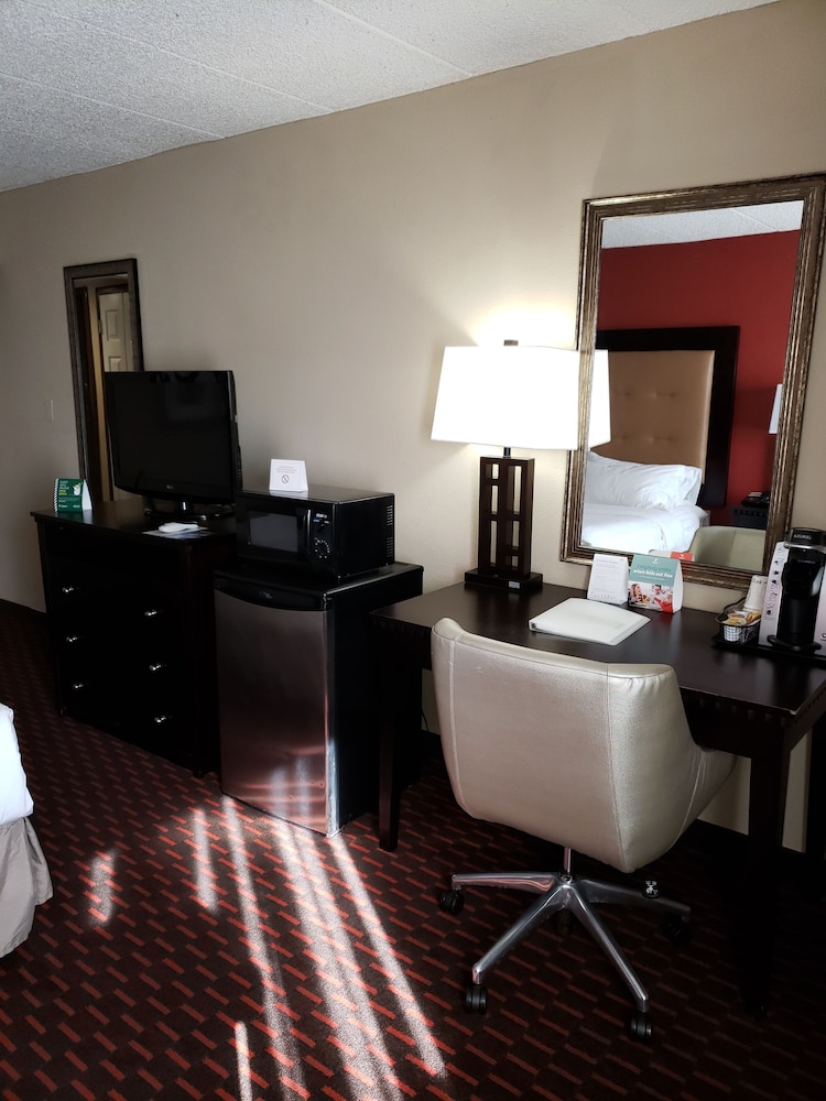 Wyndham Garden Dover - photo 6