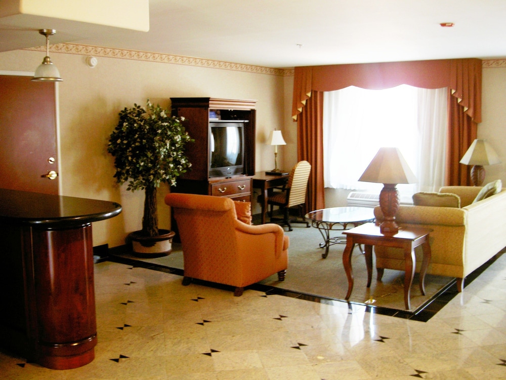 Holiday Inn Express Hotel & Suites El Centro by IHG - photo 14
