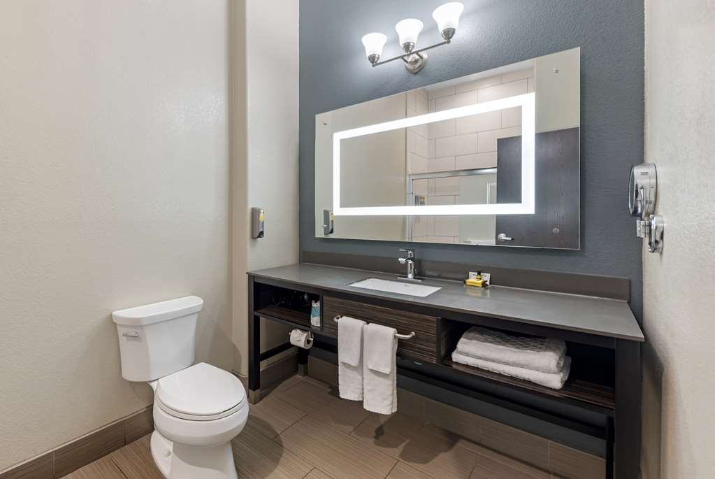 Best Western Plus Pflugerville - photo 20