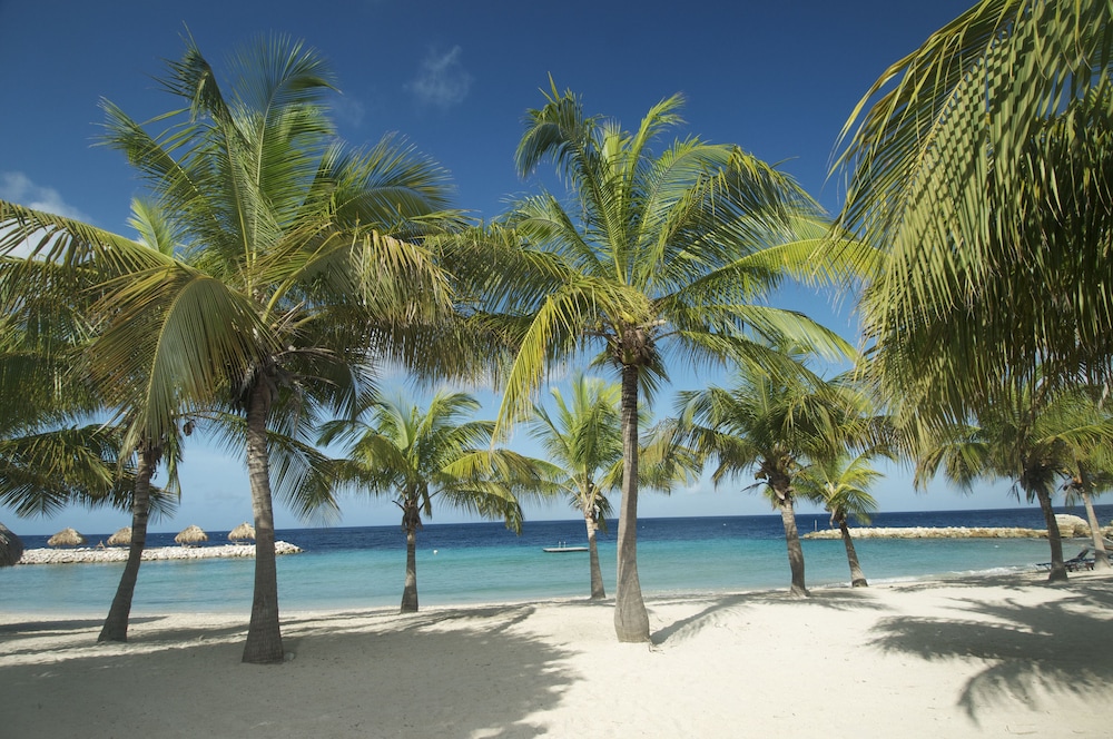 Blue Bay Lodges in Willemstad, CURAÇAO