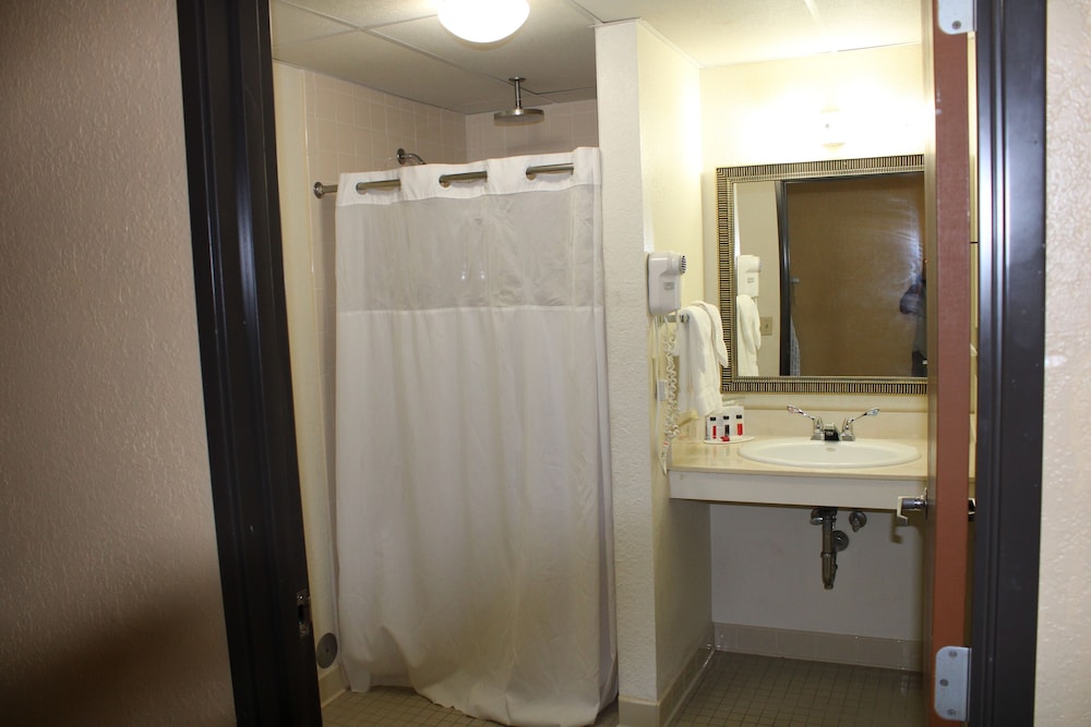 The Oasis Hotel & Bar - photo 19