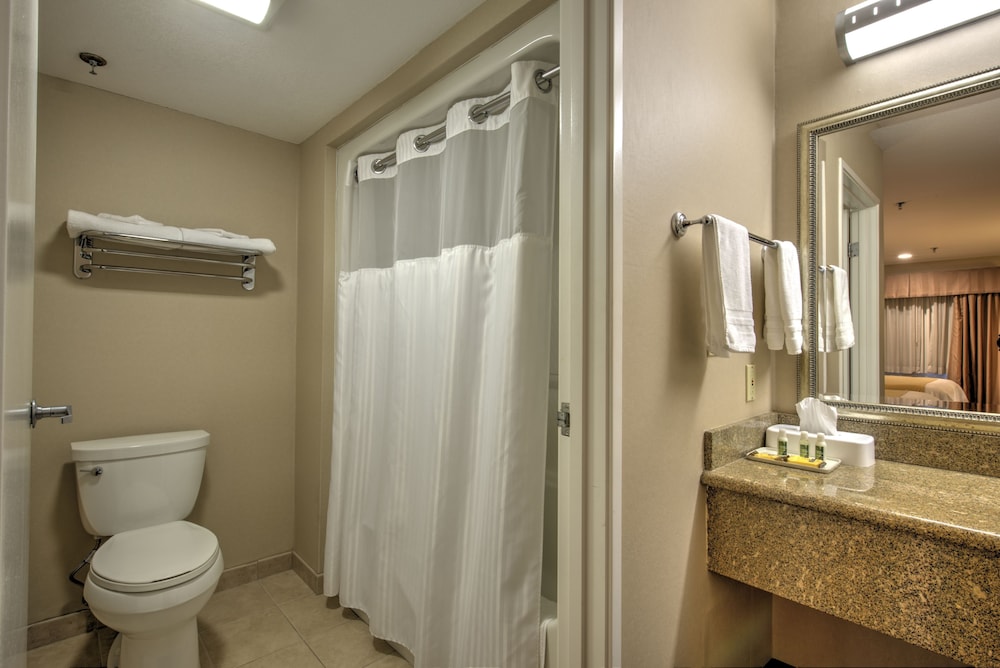 Burbank Inn and Suites - photo 12