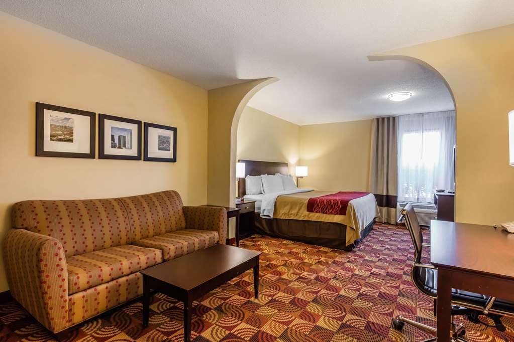 Comfort Inn & Suites Jasper Hwy 78 West - photo 27