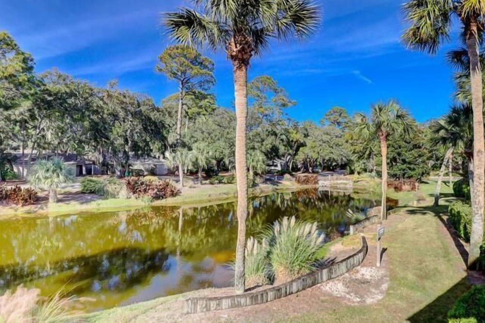 5 Turtle Lane at The Sea Pines Resort - photo 21