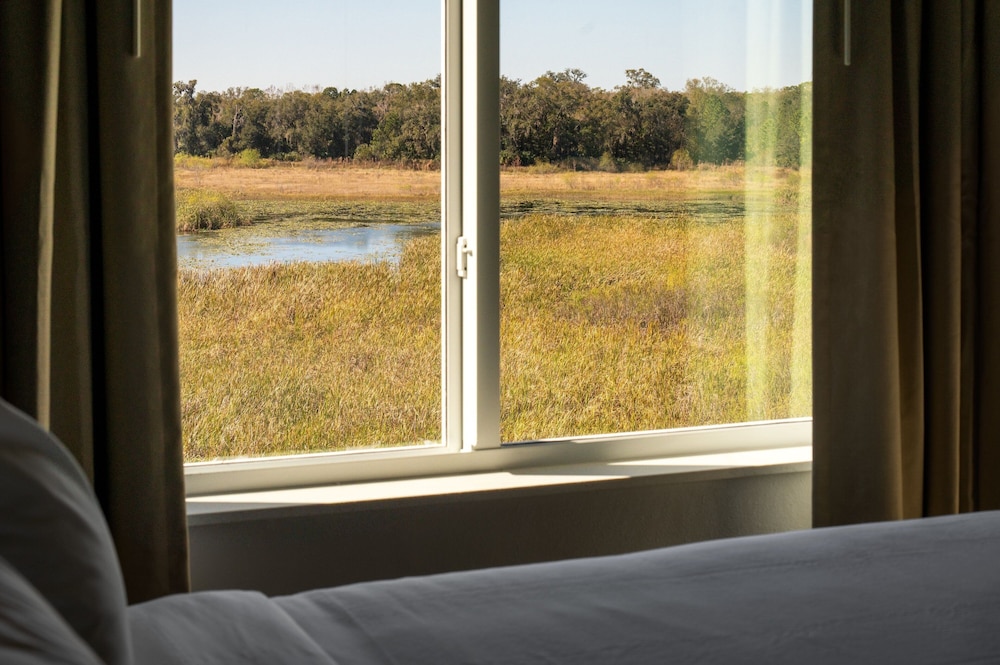Residence Inn by Marriott Tampa Wesley Chapel - photo 9