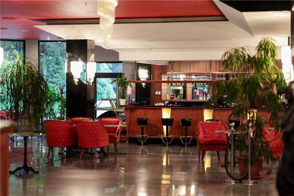 Parkhotel Vienna — Bielsko-Biala — photo 3